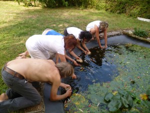 la purification des silex